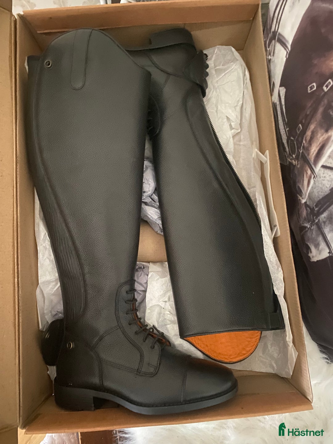 Ridstövlar ryttarutrustning till salu: Nya ridstövlar  i Lekeryd - Annons 1