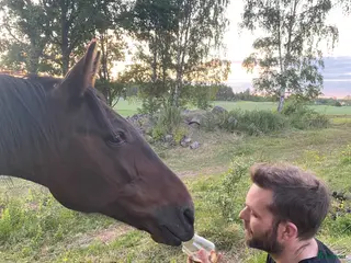 hästar Hästen med det stora hjärtat - Annons 1