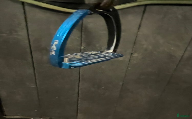 Stigbyglar hästutrustning till salu: Tech stirrups  i Östervåla - Annons 11