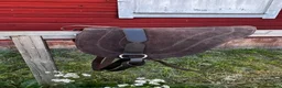 Övrig Hästutrustning hästutrustning till salu: Parellipaket: Bareback pad, repgrimma, carrotstick - Annons 5