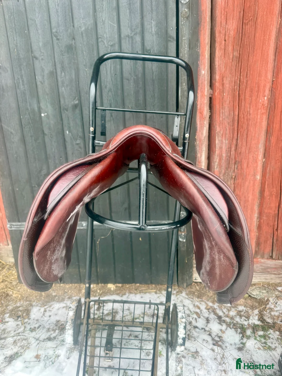 Övrig Ryttarutrustning ryttarutrustning till salu: CWD Mademoiselle 2021  i Grödinge - Annons 3