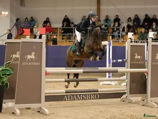 hästar Mångsidig ponny med utstrålning!🌟 i Jörlanda - Annons 9