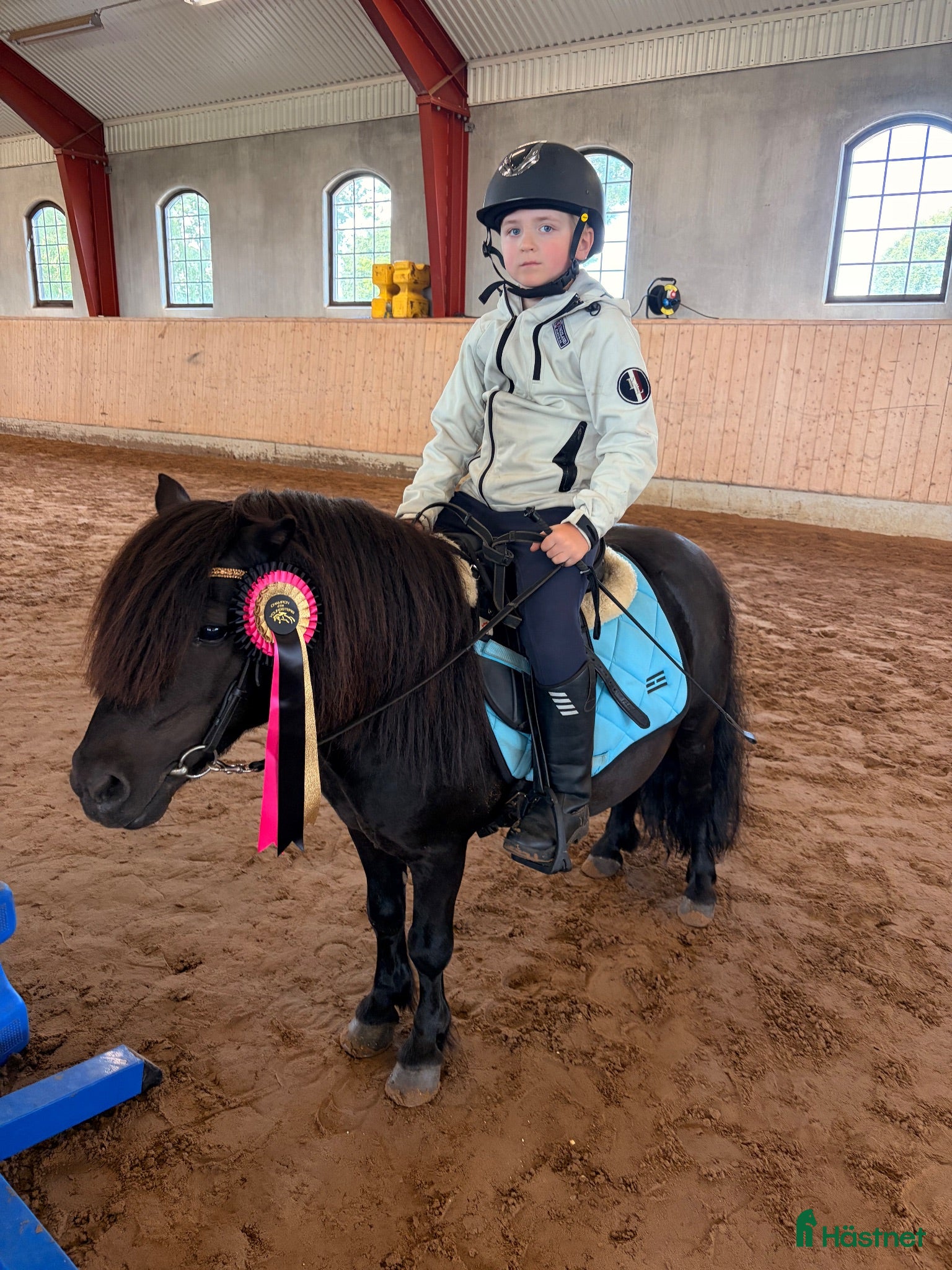  foderhäst Fodervärd sökes 🐴 - Annons 1