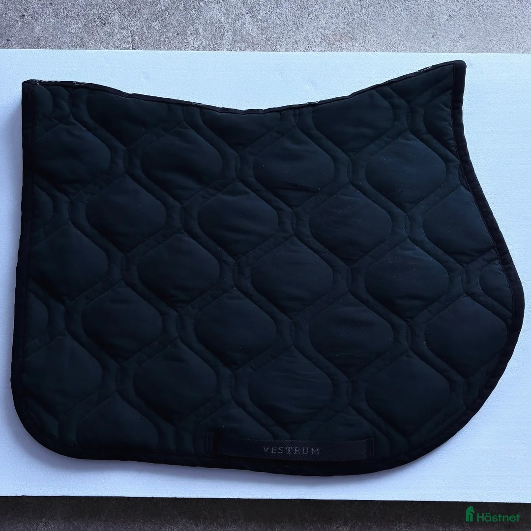 Övrig Hästutrustning hästutrustning till salu: Vestrum - Annons 2