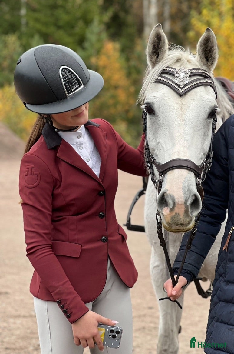 Jackor & Kavajer ryttarutrustning till salu: Cavalleria Toscana kavaj - Annons 16