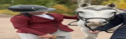 Jackor & Kavajer ryttarutrustning till salu: Cavalleria Toscana kavaj - Annons 1