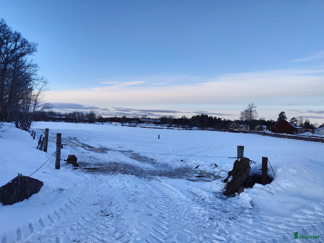  stallplats finnes: Stallplats i Koverhult i Mönsterås - Annons 1