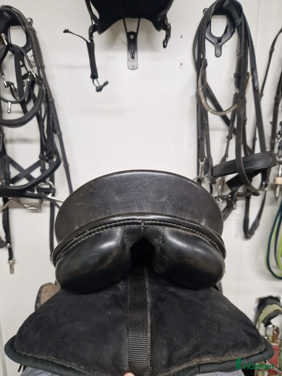 Sadlar hästutrustning till salu: Passier 16,5" i Burseryd - Annons 5