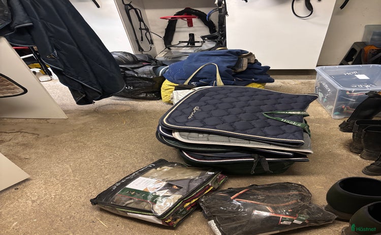 Benskydd hästutrustning till salu: Storrensning  i Västerhaninge - Annons 11