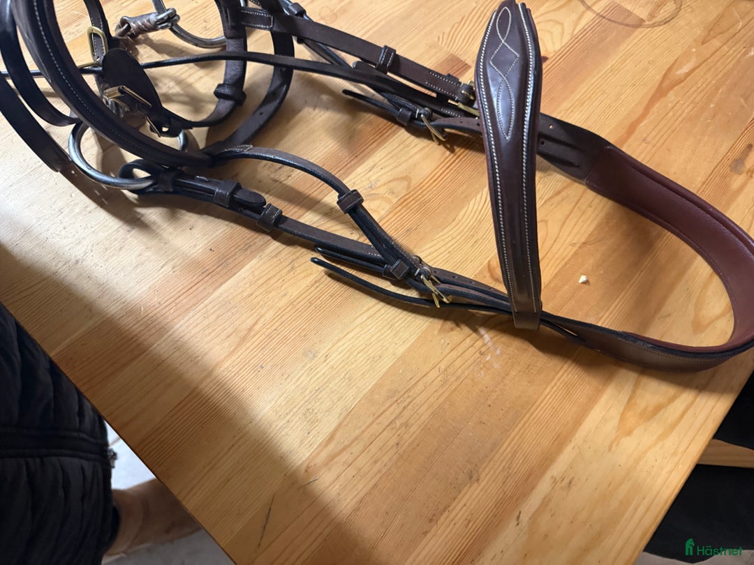 Träns hästutrustning till salu: Superfint Dyon träns! i Höllviken - Annons 4