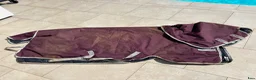 Täcken hästutrustning till salu: Amigo Bravo Ripstop 200 g st 130 cm fint skick - Annons 2