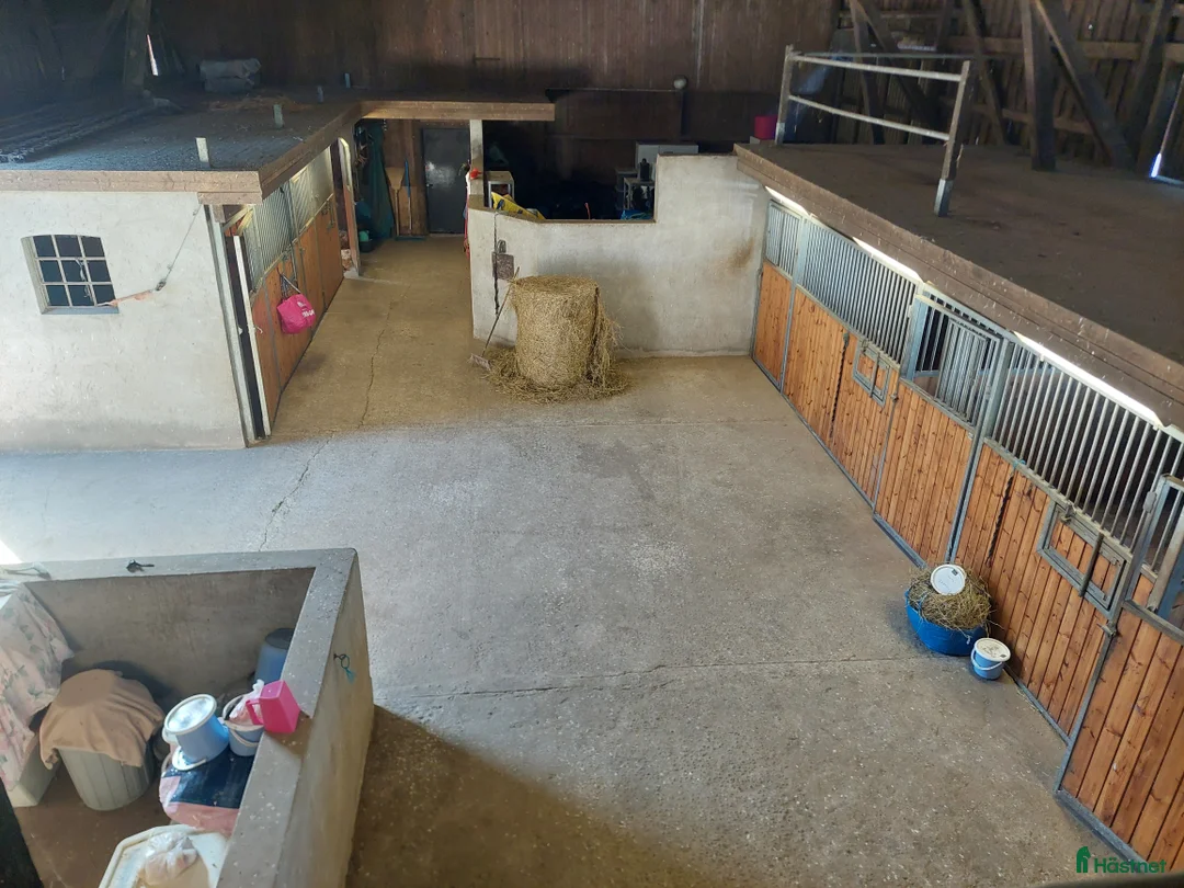  stallplats finnes: Boxplatser uthyres  i Staffanstorp - Annons 2