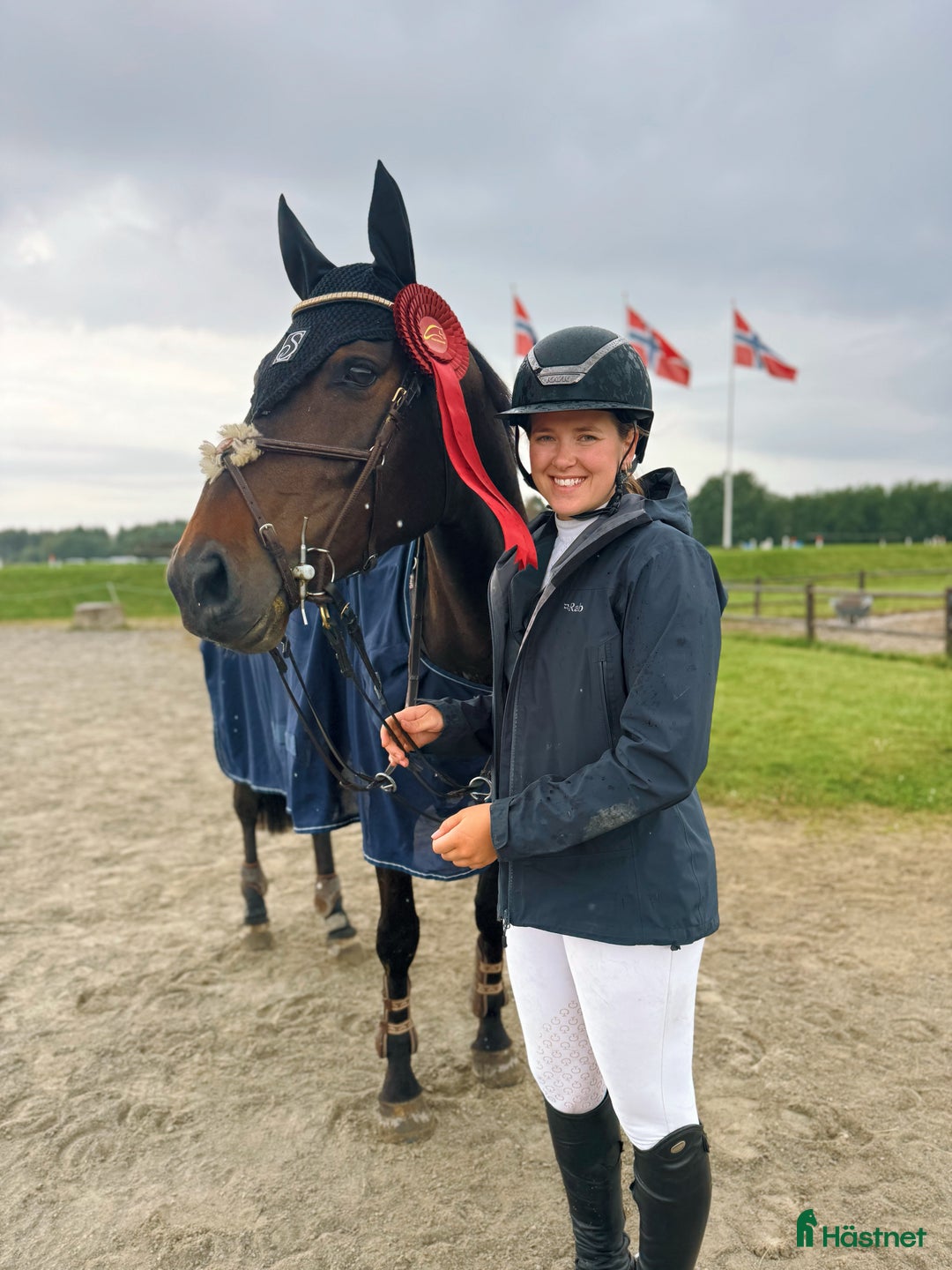 Hoppning hästar till salu: Fantastisk hoppe med mye ubrukt potensiale  i Gjerdrum - Annons 1