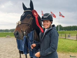 hästar Fantastisk hoppe med mye ubrukt potensiale i Gjerdrum - Annons 1