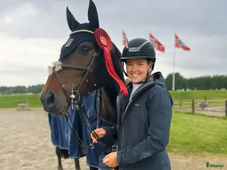 hästar Fantastisk hoppe med mye ubrukt potensiale i Gjerdrum - Annons 5