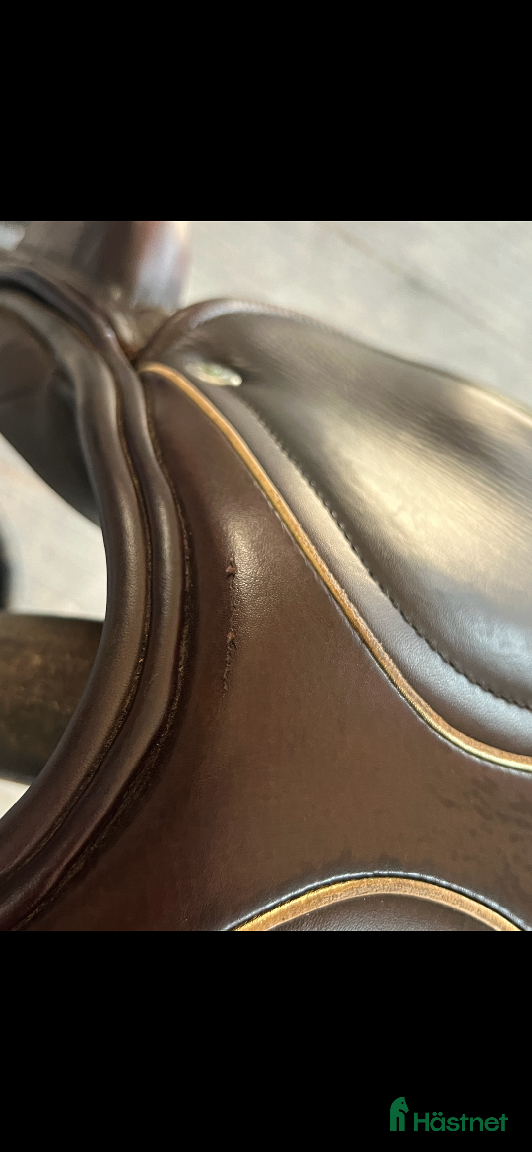 Sadlar hästutrustning till salu: Superfin enkelkåpad hoppsadel! i Svenljunga - Annons 6