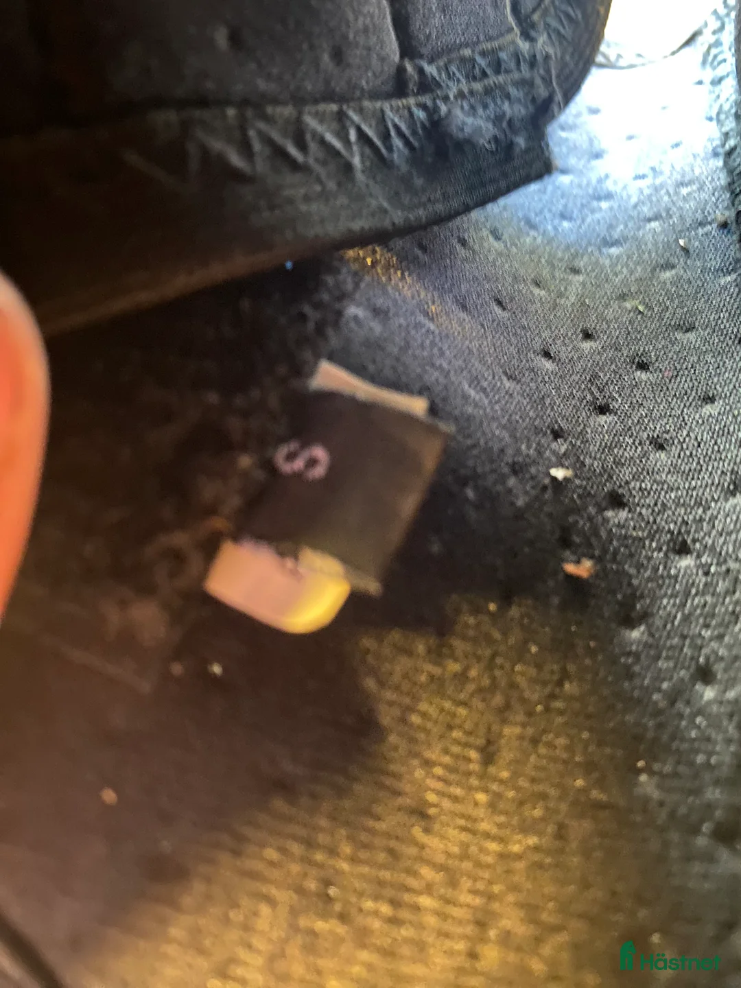 Benskydd hästutrustning till salu: Svarta benskydd🥰 - Annons 3