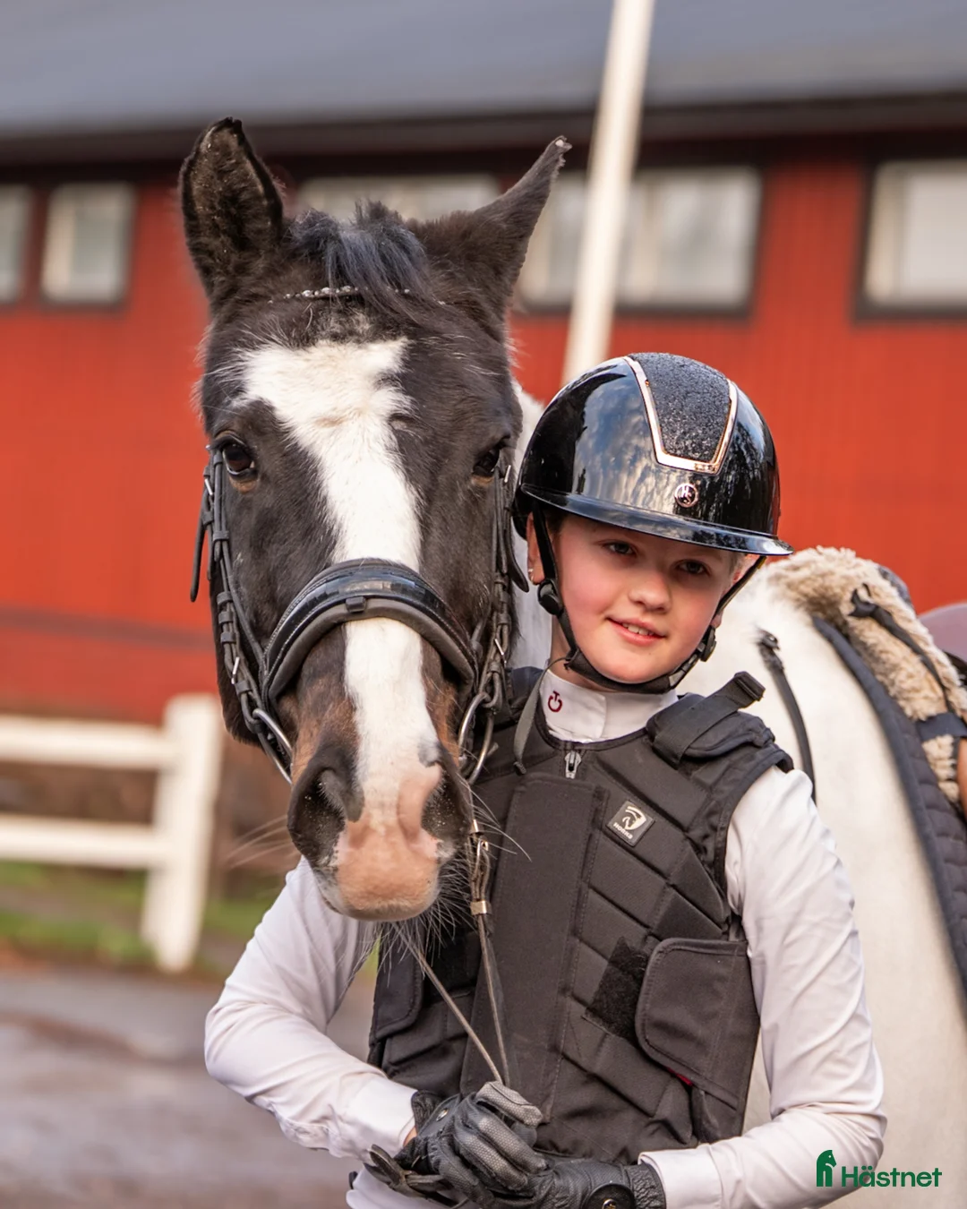  medryttarhäst sökes: 🚨SÖKER MEDRYTTARPONNY🚨 i Vällingby - Annons 1