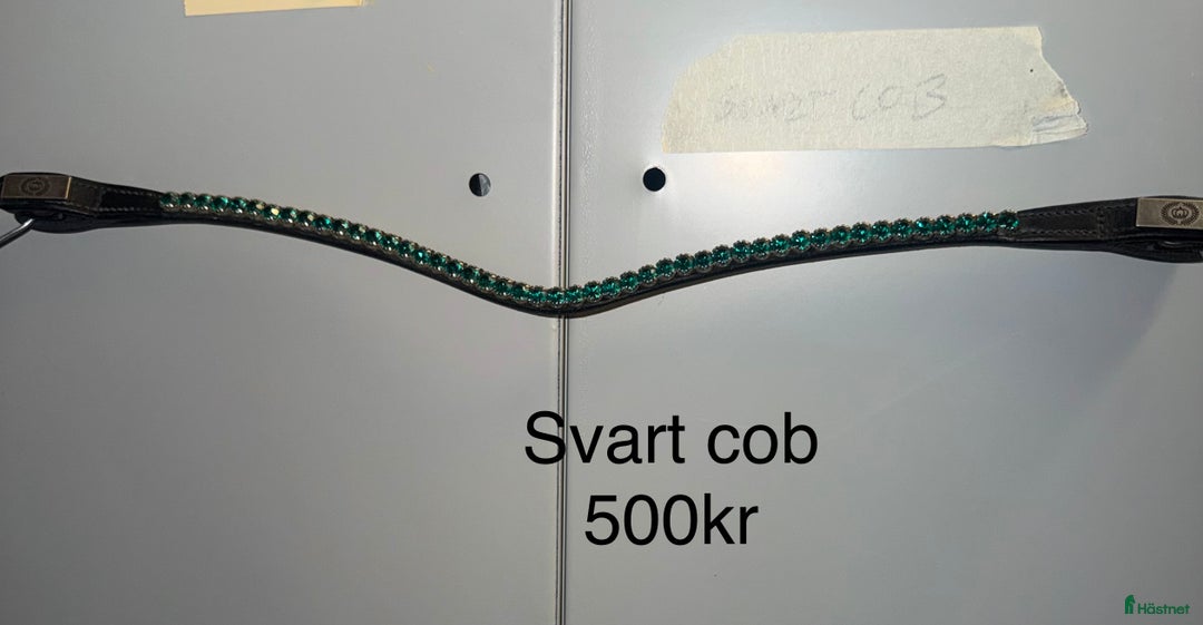 Träns hästutrustning till salu: Ps pannband i Färgelanda - Annons 3