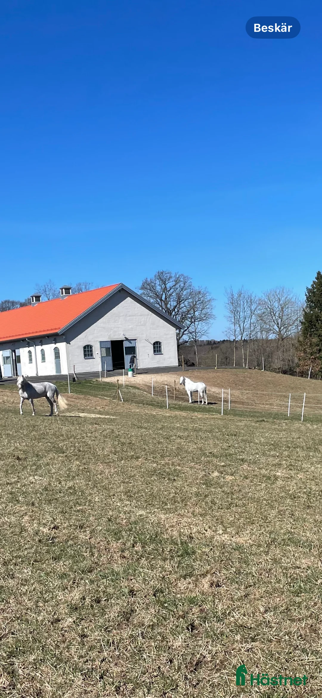  stallplats finnes: Boxplats i Degeberga - Annons 1