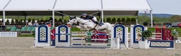 Hoppning hästar till salu: TOP CHILDREN/JUNIOR HORSE FOR SALE - Annons 3