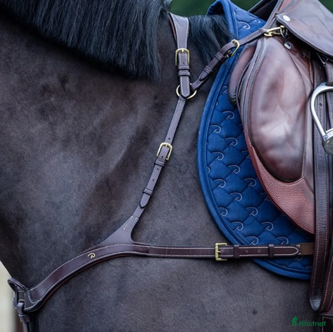 Övrig Hästutrustning hästutrustning till salu: Brösta / Förbygel Dyon i Skillingaryd - Annons 1