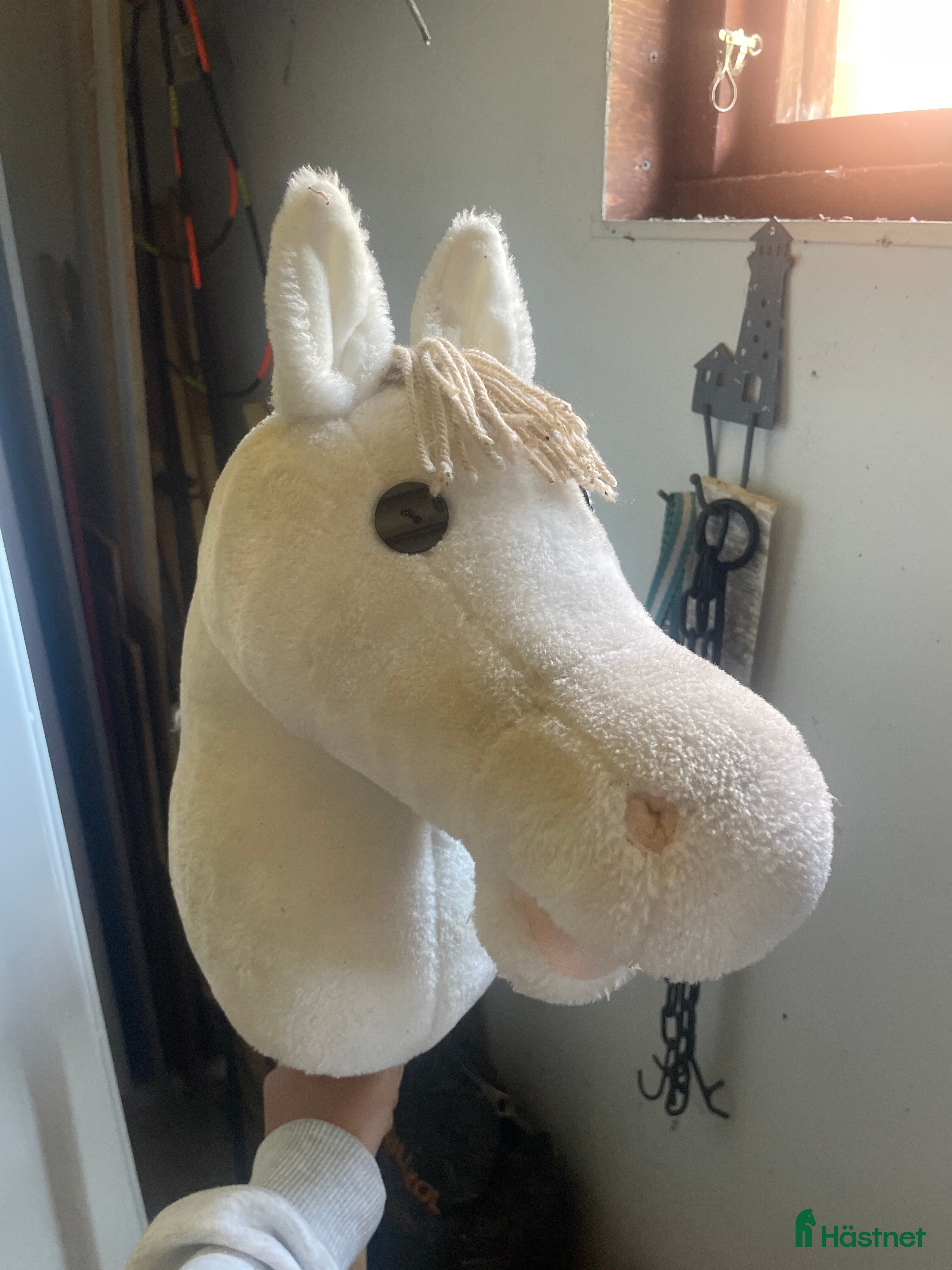 Övrig utrustning övrig utrustning till salu: Käpphäst i Höör - Annons 3