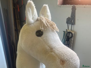 Övrig utrustning övrig utrustning till salu: Käpphäst i Höör - Annons 9