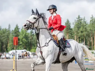 hästar Lyxig hobbyhäst - Annons 6