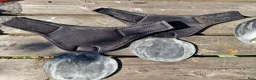Övrig Hästutrustning hästutrustning till salu: Scoot boots & gaiters  - Annons 8