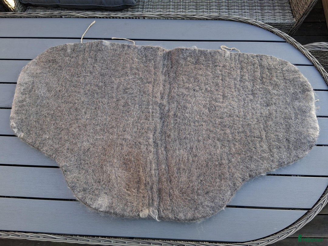 Schabrak & Vojlockar hästutrustning till salu: Diverse schabrak, paddar & vojlockar i Ljungbyholm - Annons 27