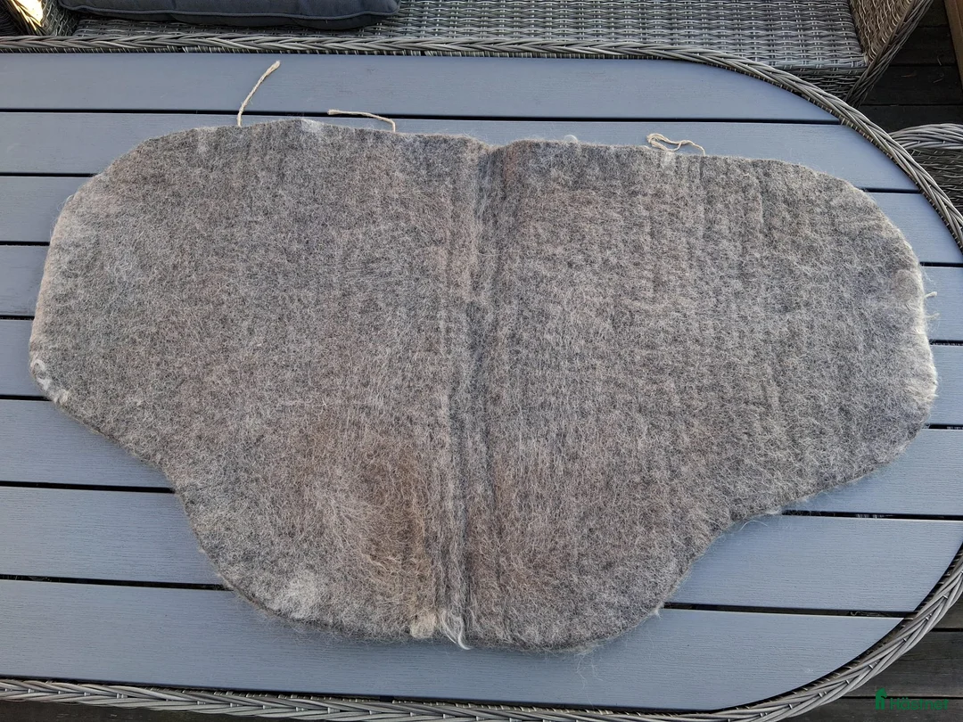 Schabrak & Vojlockar hästutrustning till salu: Diverse schabrak, paddar & vojlockar i Ljungbyholm - Annons 27