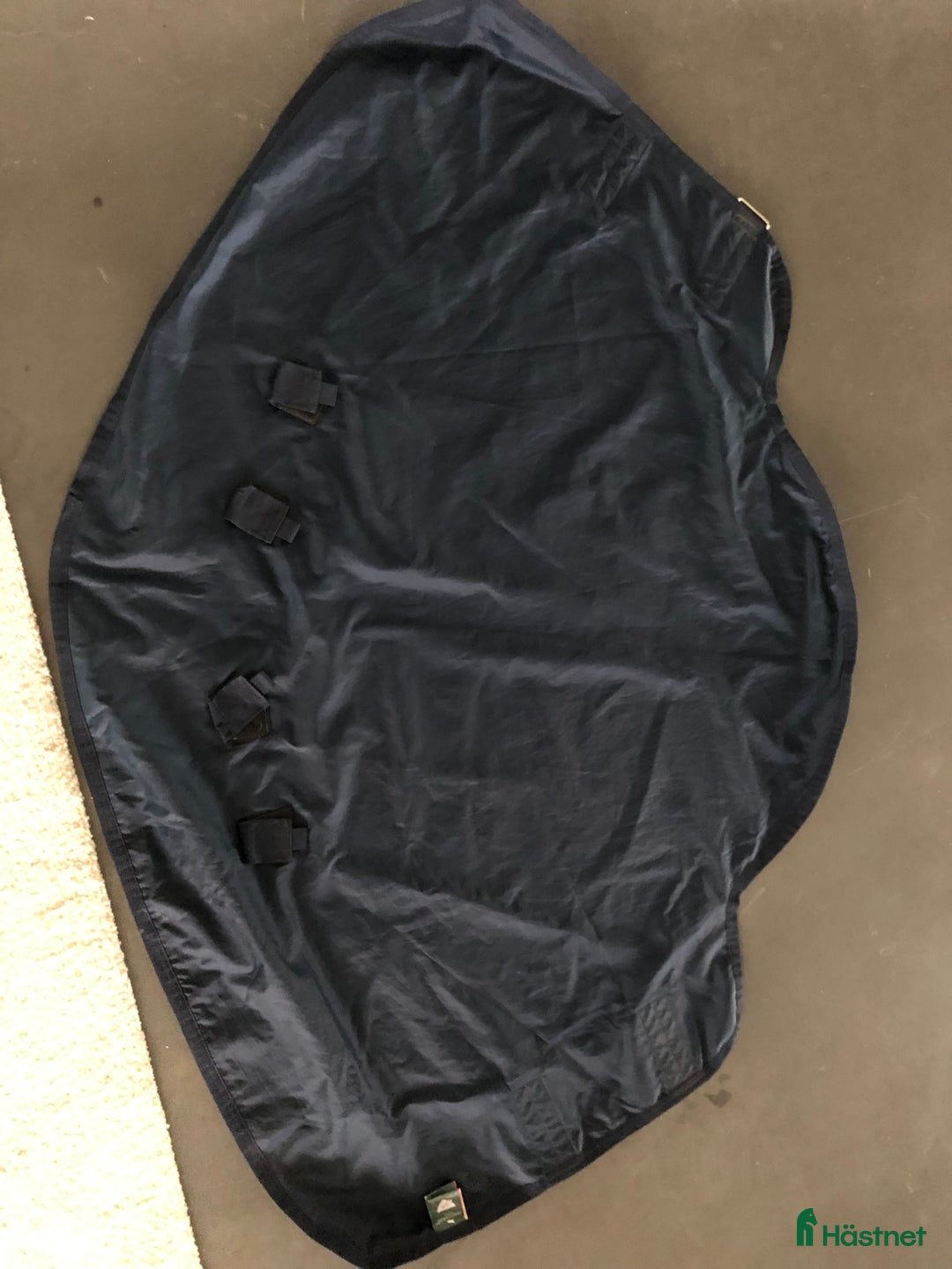 Täcken hästutrustning till salu: Amigo hero hood Large i Båstad - Annons 6