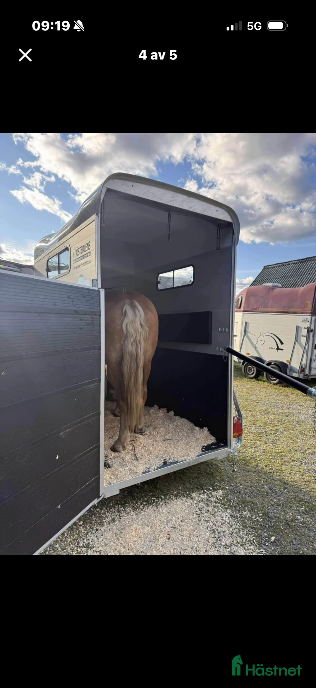 Hästtransporter  fordon & transport till salu: UTHYRES cheval Liberte one touring  i Vederslöv - Annons 3