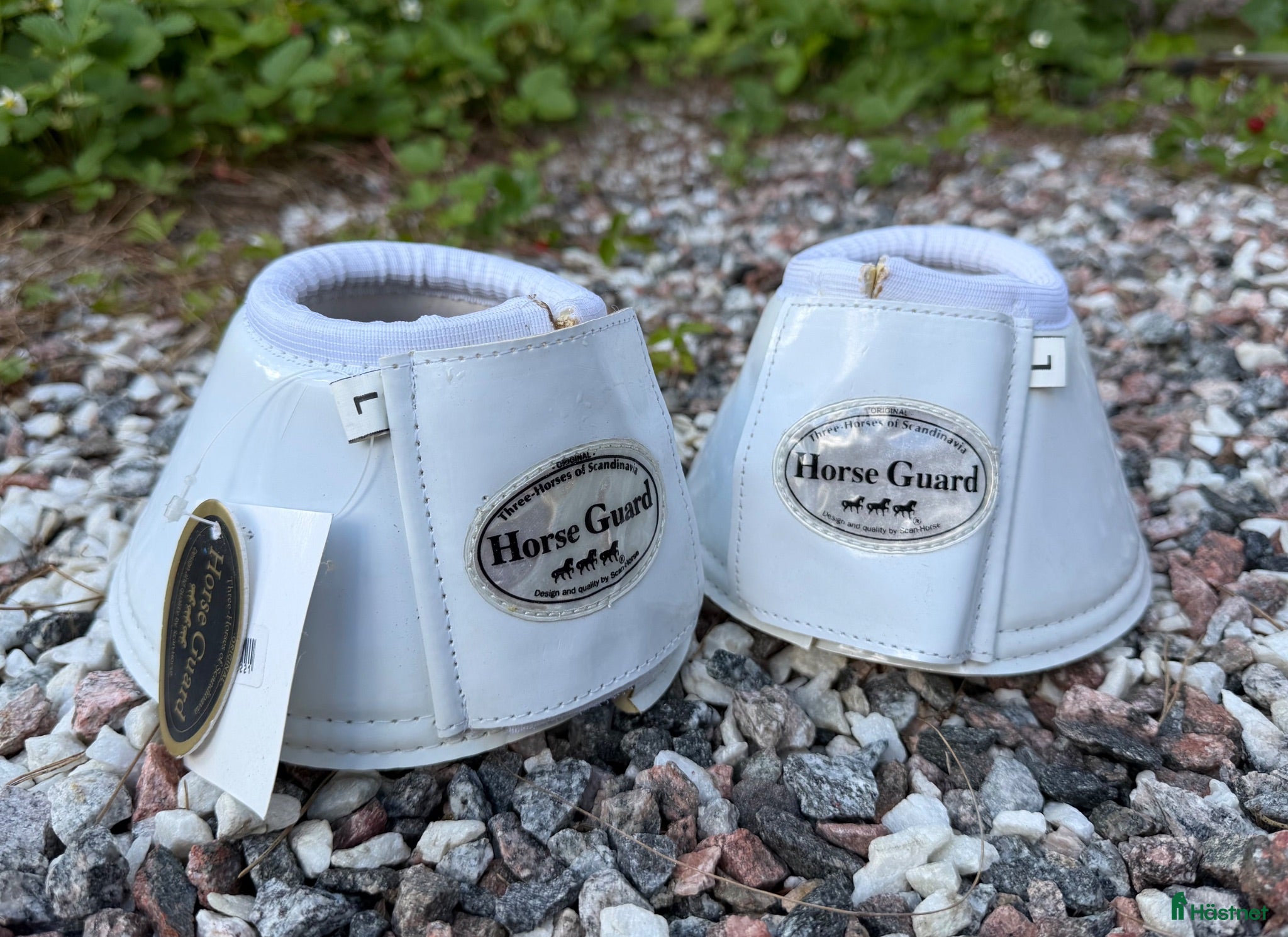 Benskydd hästutrustning Helt nya vita lackade boots - Annons 1