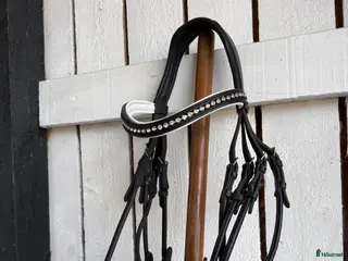 Träns hästutrustning Svart rundsytt kandar - Annons 16