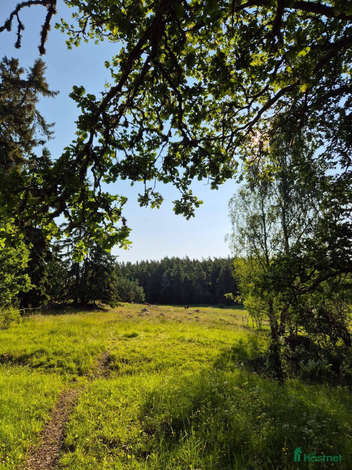  stallplats Stall Grana har box till ponnyvalack i Vallentuna - Annons 15