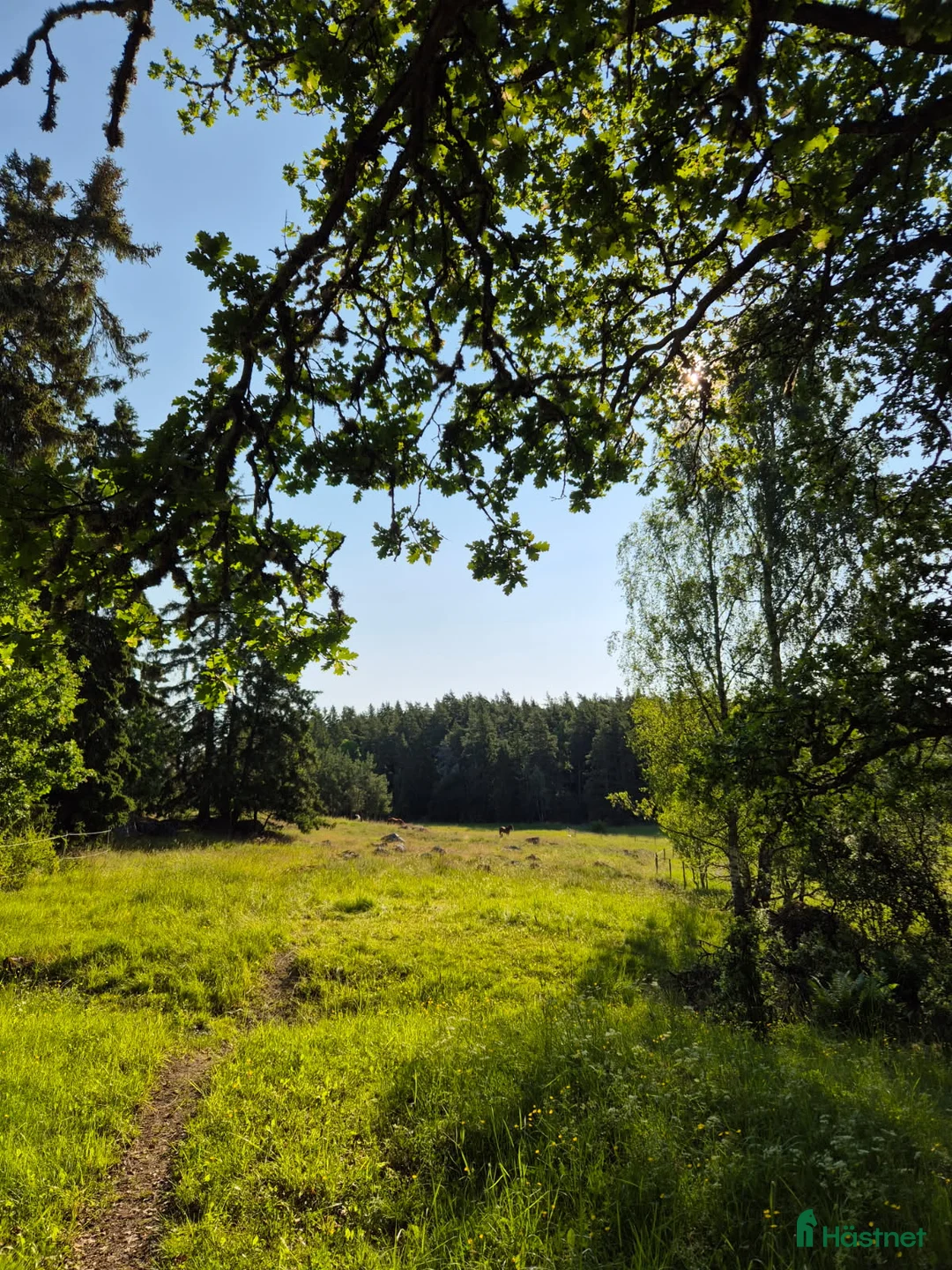  stallplats finnes: Stall Grana har box till ponnyvalack i Vallentuna - Annons 1