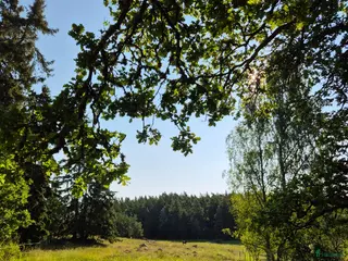 stallplats Stall Grana har box till ponnyvalack i Vallentuna - Annons 15