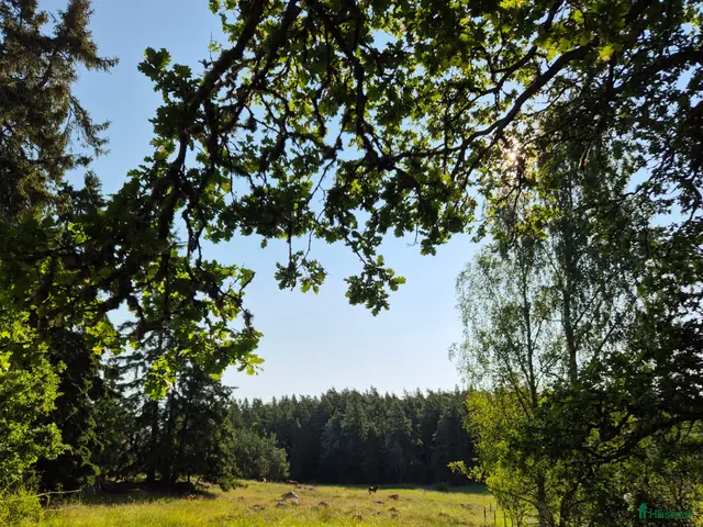 stallplats finnes: Stall Grana har ledig box i Vallentuna - Annons 3