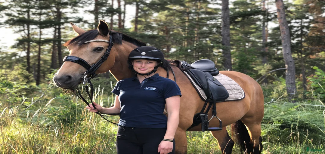 Galleribild {{count}}