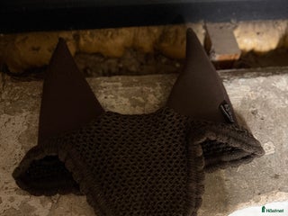 Övrig Hästutrustning hästutrustning till salu: equiline soundless huva brun i Tierp - Annons 8