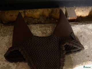 Övrig Hästutrustning hästutrustning till salu: equiline soundless huva brun i Tierp - Annons 23