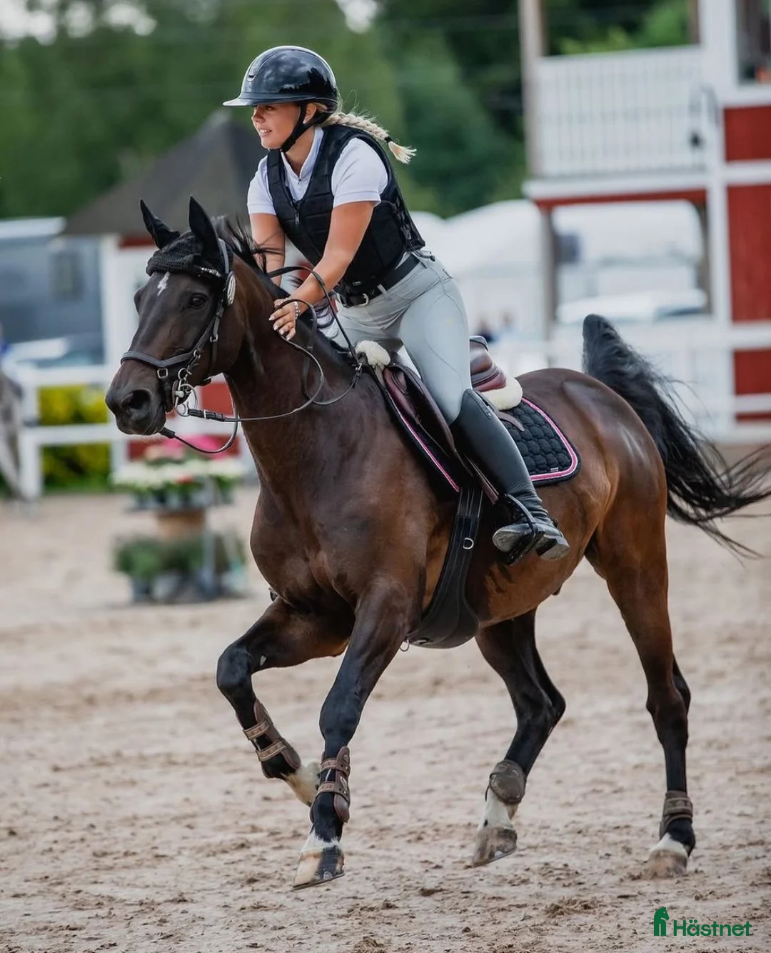 Hoppning hästar till salu: Läromästare med hjärtat på rätt ställe!  i Skövde - Annons 4