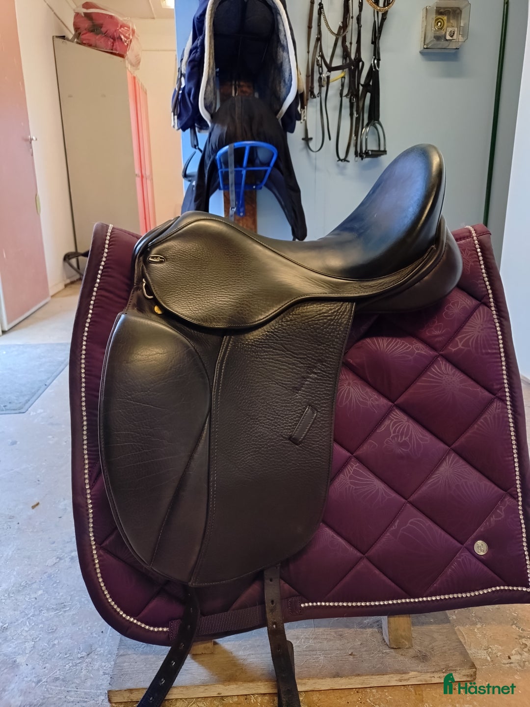 Sadlar hästutrustning till salu: Santa cruz Arthur de lux i toppskick  i Finspång - Annons 1