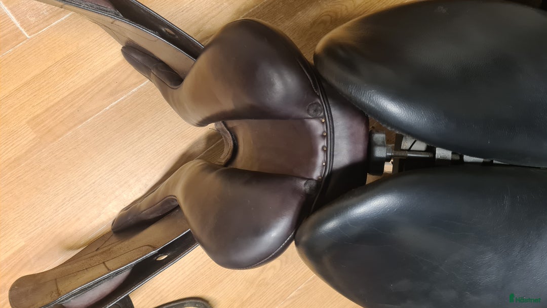 Sadlar hästutrustning till salu: Santa Cruz Celine - Annons 6