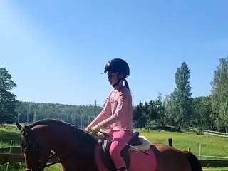 hästar Ponny sökes! - Annons 17