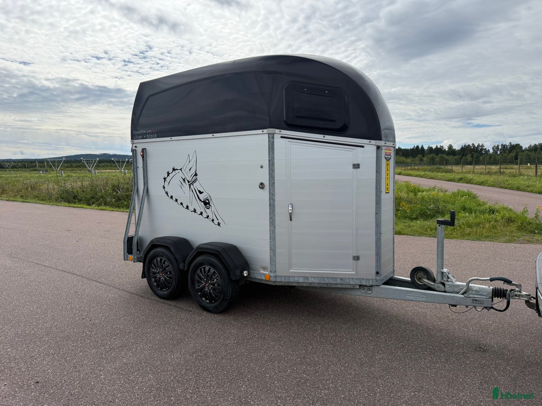 Hästtransporter  fordon & transport till salu: Böckmann Champion UNO -19 i Borlänge - Annons 2