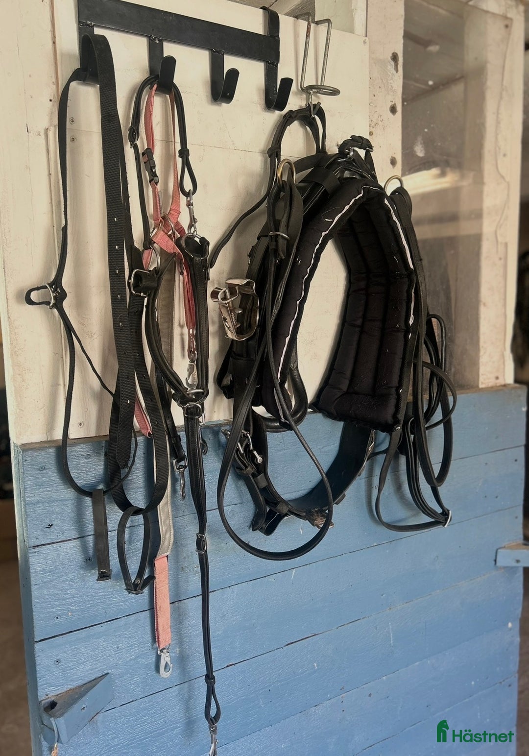 Travselar trav till salu: QH sele ponny i Sorunda - Annons 2