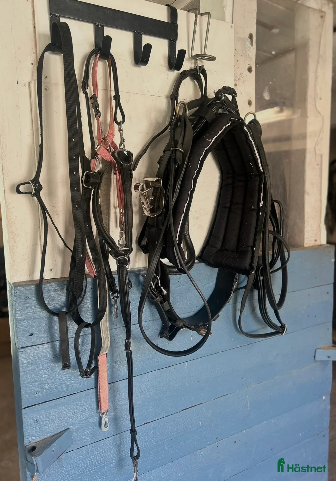 Travselar trav till salu: QH sele ponny i Sorunda - Annons 2